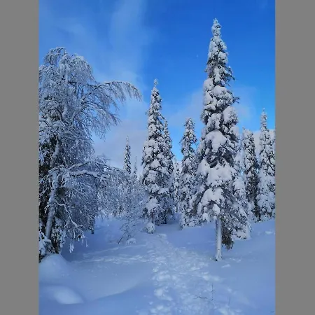 Luppokero By Interhome Salla