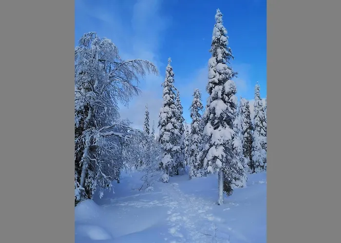 Luppokero By Interhome 度假居 萨拉