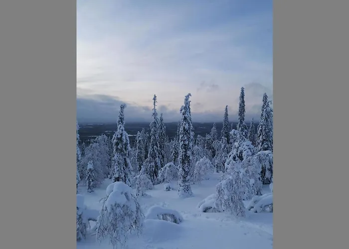度假居 Luppokero By Interhome 萨拉